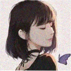 cc视频用户头像